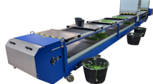 Cette machine permet le tri optique des fleurs grâce à un système de détection par caméra couleur